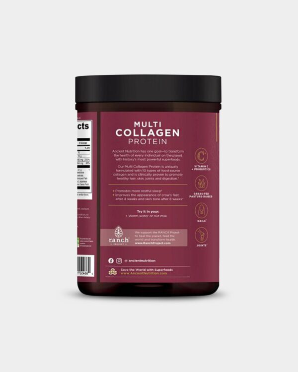 Ancient Nutrition Multi Collagen Protein - Beauty & Sleep Support - Image 4