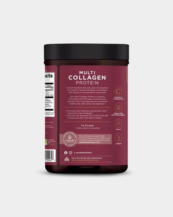 Ancient Nutrition Multi Collagen Protein - Beauty Within - Image 2