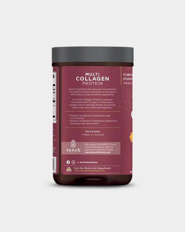 Ancient Nutrition Multi Collagen Protein - Gut Restore - Image 4