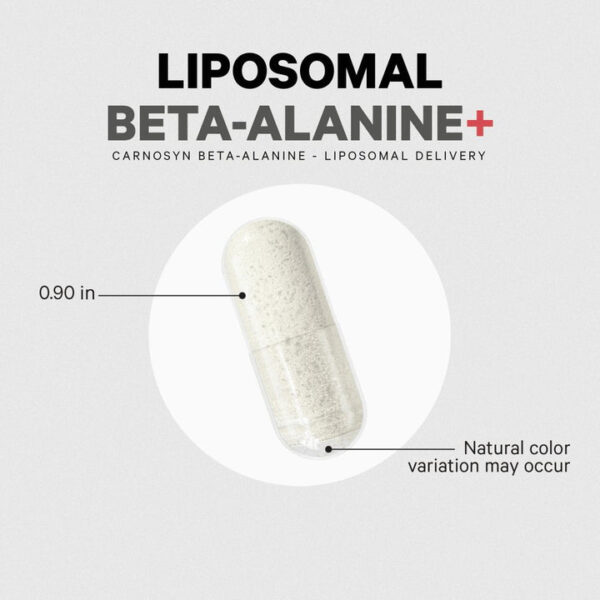 Codeage Beta-Alanine+ Carnosyn® Enhanced Absorption Supplement - Image 6
