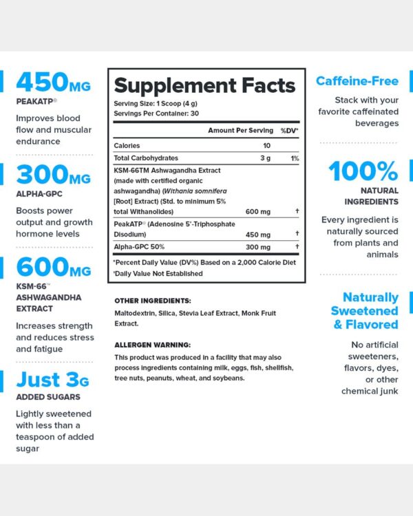 Legion Performance Surge Workout Supplement - Image 2