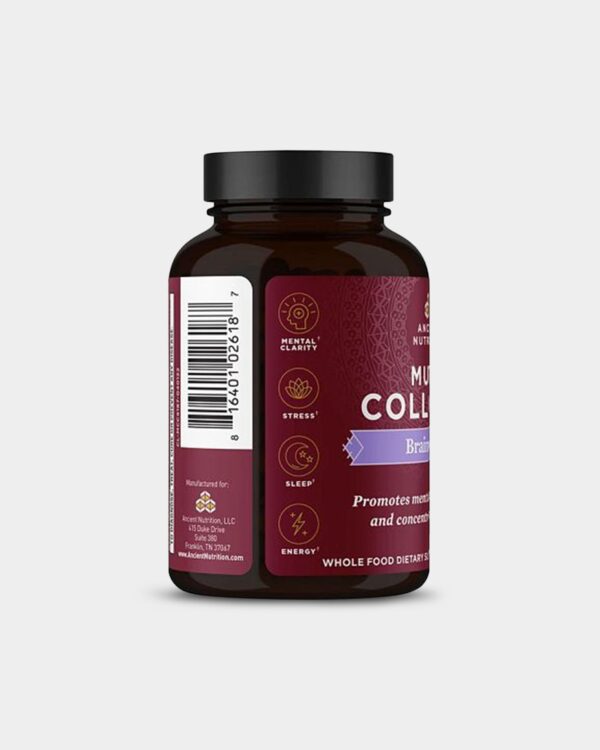 Ancient Nutrition Multi Collagen - Brain Boost - Image 4