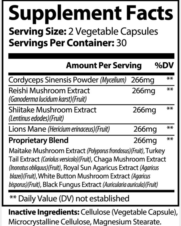 REMIX Nutrition Shroom Sync Mushroom Complex - Image 3