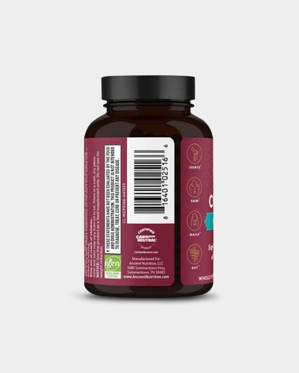 Ancient Nutrition Multi Collagen - Joint + Mobility - Image 5