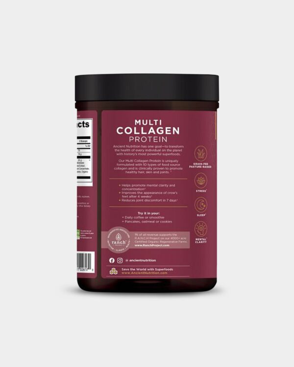 Ancient Nutrition Multi Collagen Protein - Brain Boost - Image 4